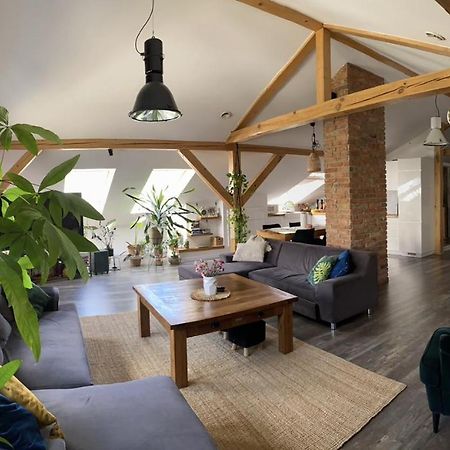 Zeromskiego Apartament Přemyšl Exteriér fotografie